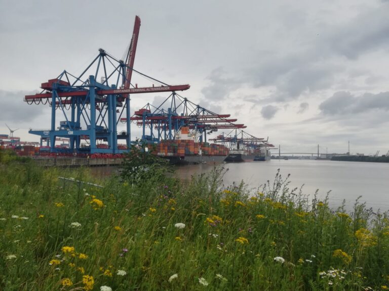 Blick von einer Wiese auf Containerterminal im Hamburger Hafen
