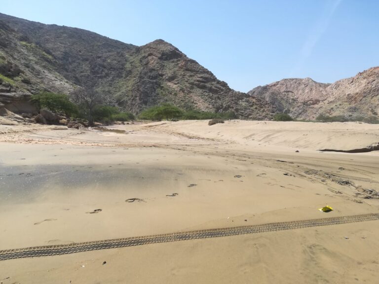 Wüstenpiste im Oman, im Hintergrund Gebirge